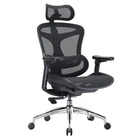 Sihoo Doro C300 Ergonomic Office Chair