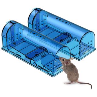 A blue humane mouse trap with a small mouse