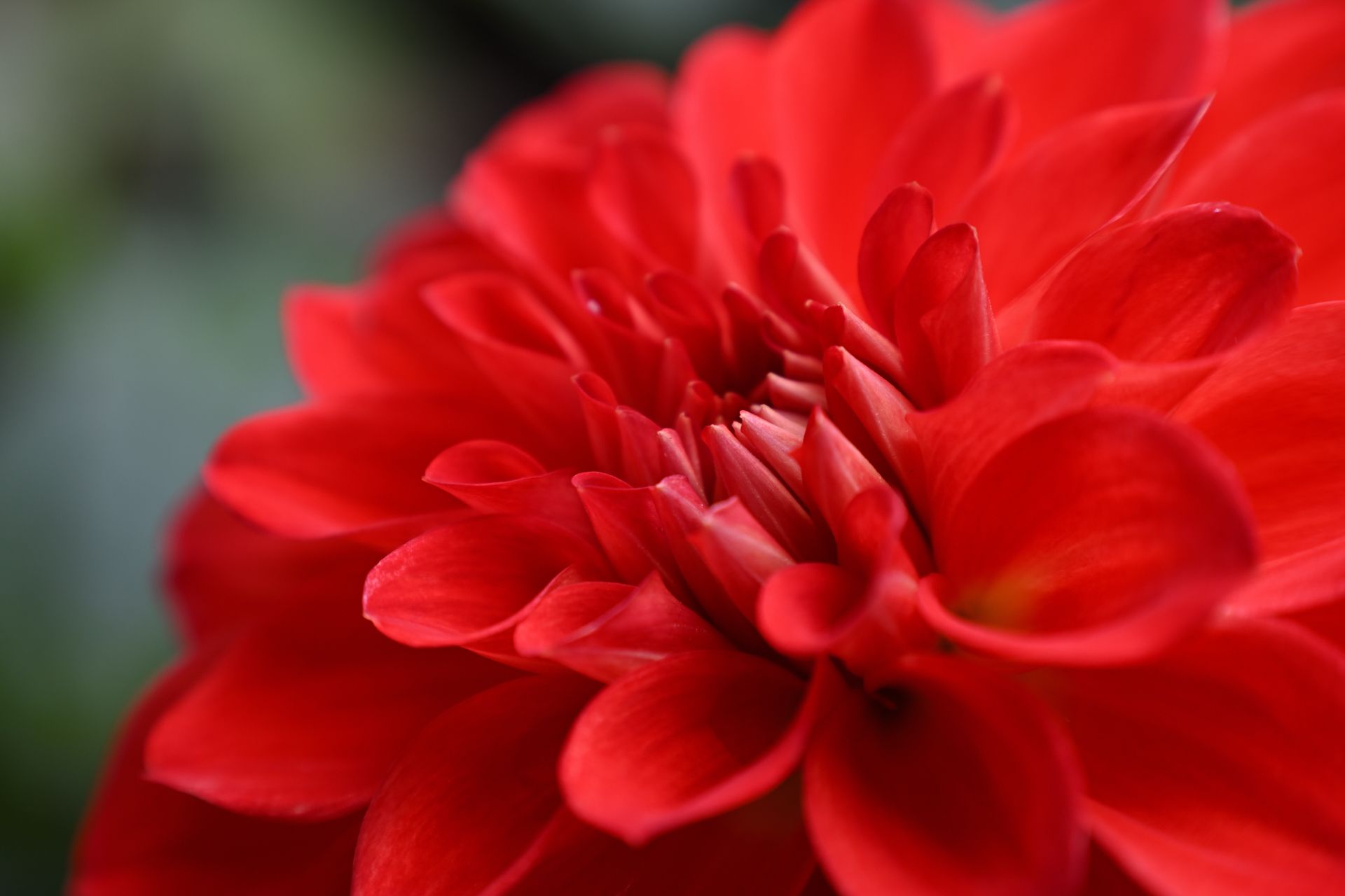 Nikon Z 24-105mm f/4-7.1 sample image