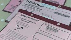 Southern Cross Stud Visit. Meopham, Kent. UK. Horse passport paperwork, administration, documents.
