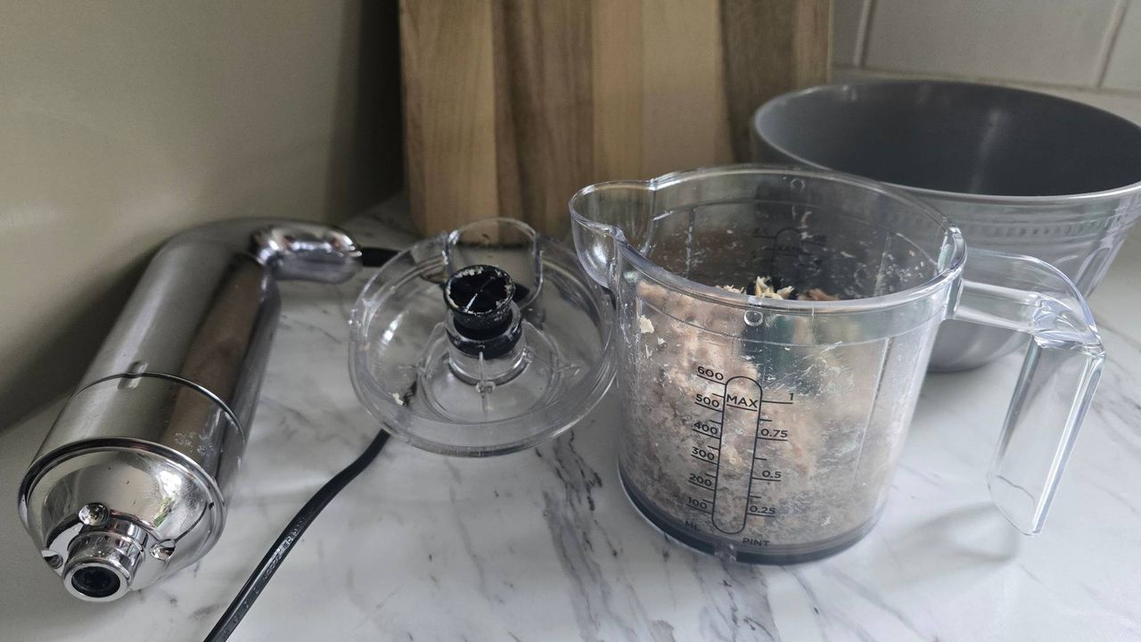 Chopped mackerel in Dualit blender