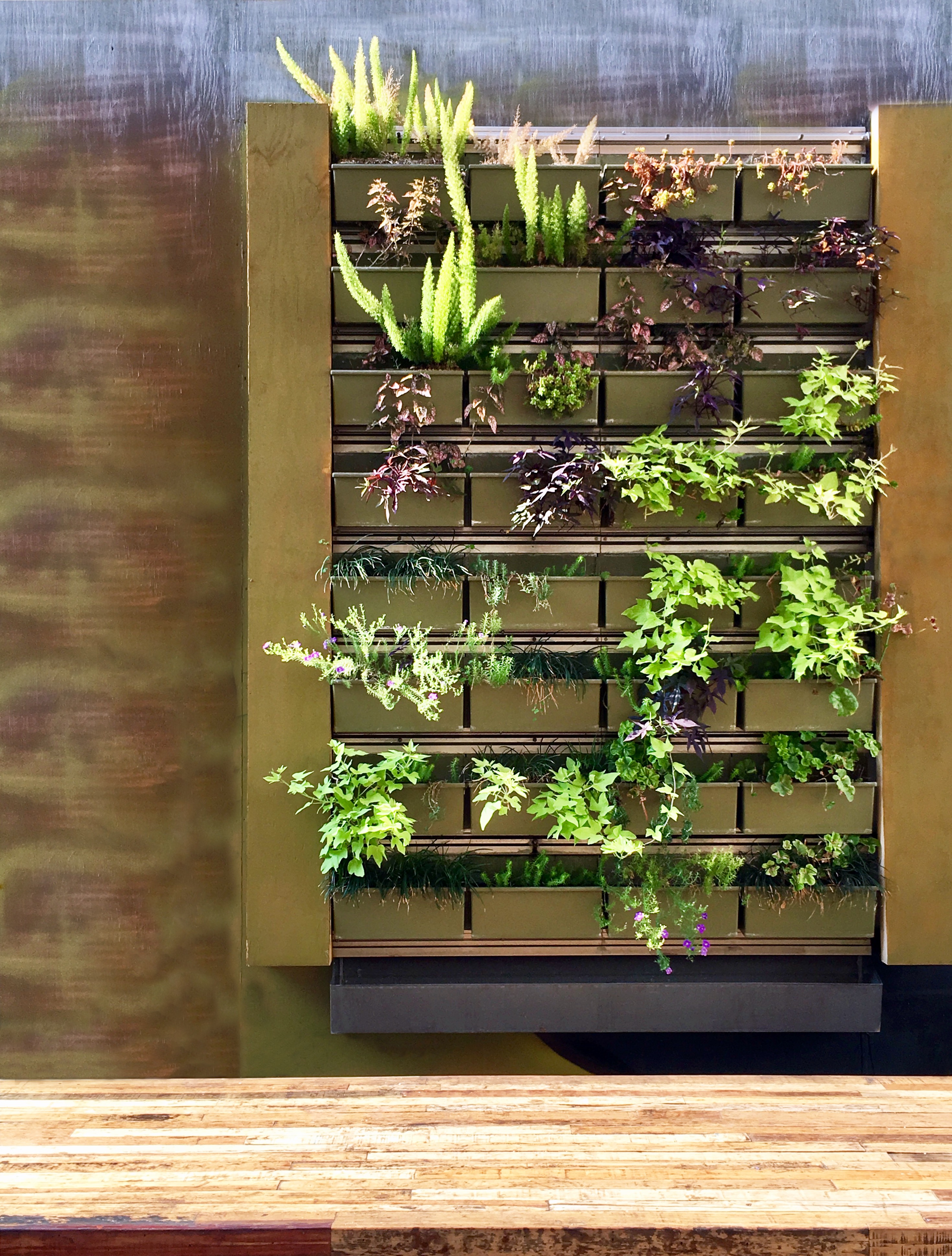 green wall ideas