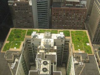 Chicago's City Hall got a green roof in 2001. The project was designed to test various concepts and methods and to test the benefits.