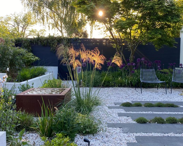 courtyard garden with planting and water feature 