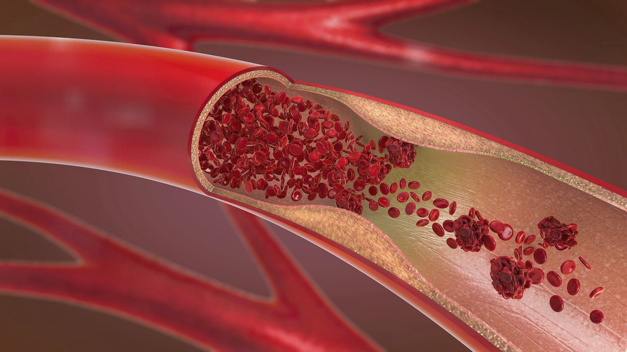 Veins and Arteries: Facts About Our Blood Vessels | Live Science