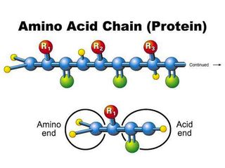 The 20 different amino acids will stick together in various formations to form protein.