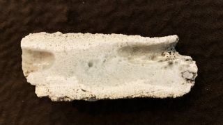 A small, whitish specimen of the fulgurite against a dark background. Fulgurite is fused sand from lightning or a downed power line.