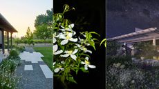 three images of gardens at night time