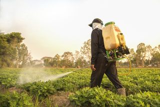 pesticides, pesticide spray