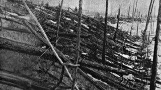 A black-and-white photo showing the aftermath of the Tunguska event in Russia in 1908.