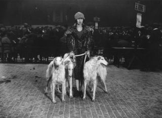 Miss Vlasto stands with her Borzoi dogs in the exhibition ring at the Royal Agricultural Hall