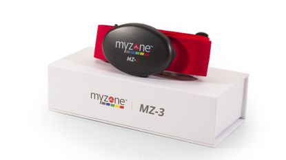 myzone fitbit