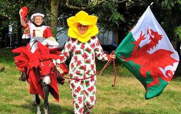 welshdrag