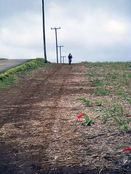 Dany Vogel chases hard.
