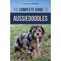 The Complete Guide To Aussiedoodles