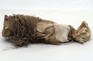 A mummified fetus dating back to 1840 and discovered in Central Italy.