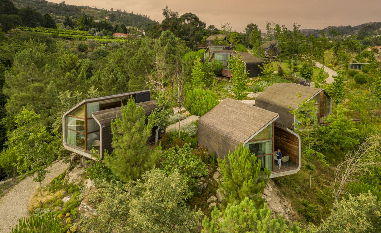 Lodges amid lush greenery