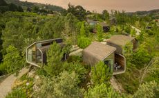 Cabins amid greenery at Lavandeira Douro Nature & Wellness