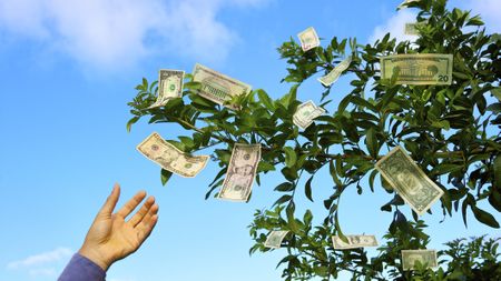 A hand reaches out to take dollar bills growing on a tree.