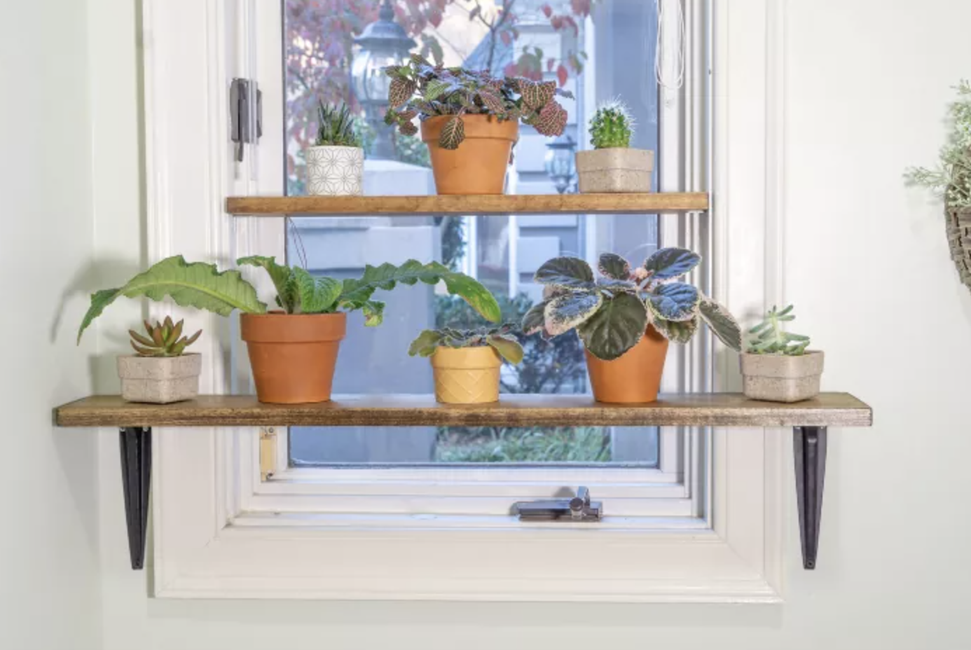 This blogger made a window plant shelf in just 30 minutes | Real Homes