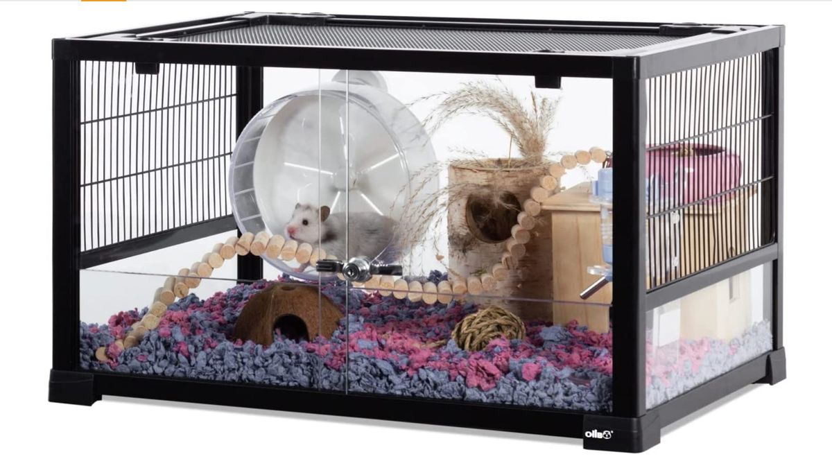 Best Hamster Cages Keep Your Hamster Safe And Comfortable PetsRadar best-hamster-cages-keep-your-hamster-safe-and-comfortable-petsradar