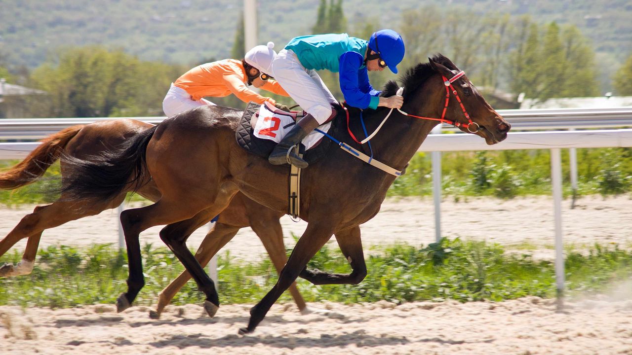 A jockey and horse win a race.