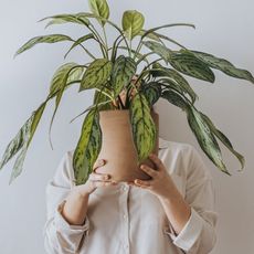A person holds a houseplant in front of their face