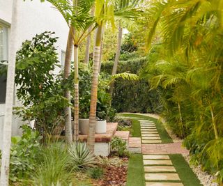 garden path with trees and planting