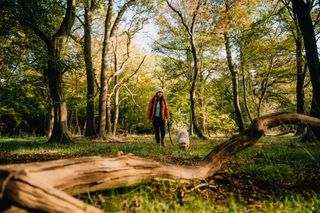 A woman taking an autumnal walk in the forest with her dog.