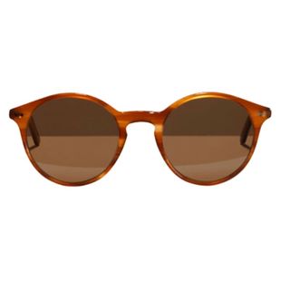 Pair of rounded classic framed sunglasses