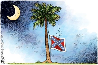 Editorial cartoon Confederate flag South Carolina