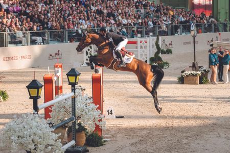 Scott Brash and Hello Chadora Lady win the Hermes grand prix at the Saut Hermes in Paris.