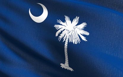 picture of South Carolina flag