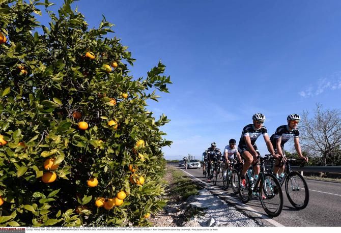 Tom Boonen and Omega Pharma-QuickStep pedal in the sun of the Costa Blanca.
