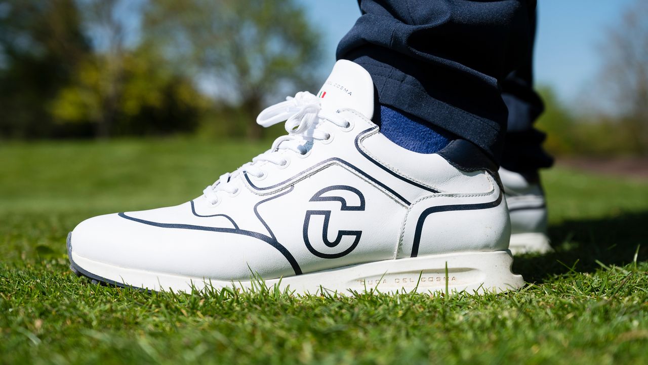 Golf shoe close up pictured