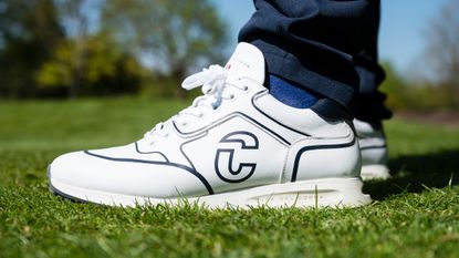 Golf shoe close up pictured