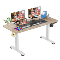 Farexon Electric Height Adjustable Standing Desk:  $249