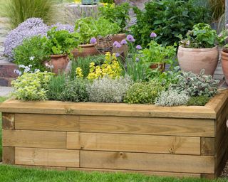 wooden planter with herb garden