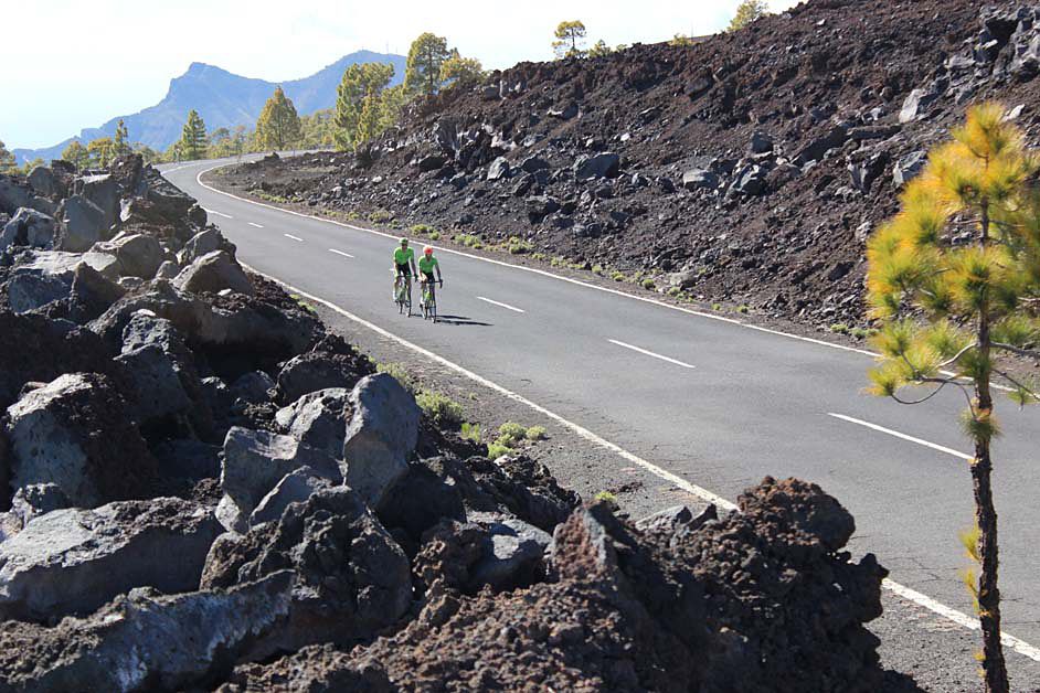 Only two left near the top of Mt Teide