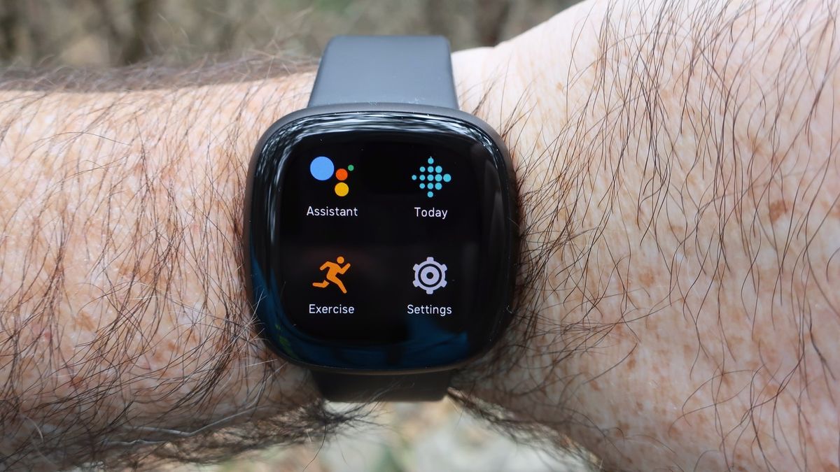 Google assistant fitbit versa 3 new arrivals