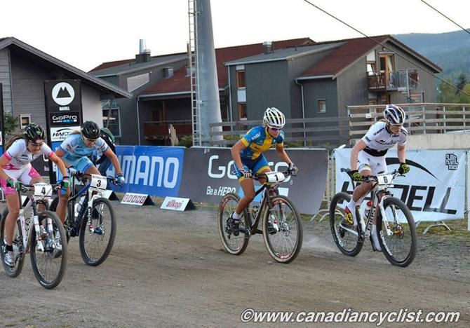 Start of the Big Final