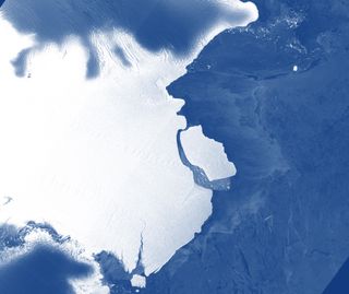 A giant iceberg has calved off the front of the Amery Ice Shelf in East Antarctica.