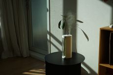 a moss air humidifier in a stylish home