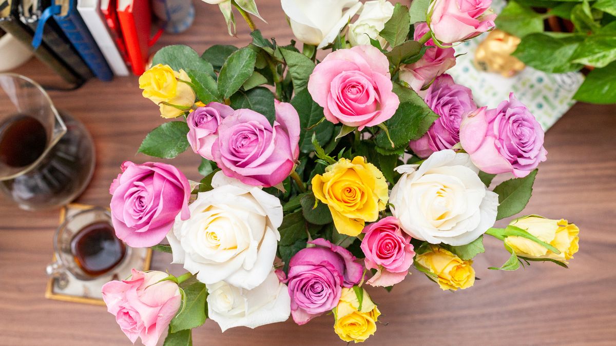 Valentine's Day flowers