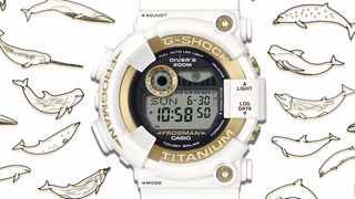 Casio G-Shock Frogman watch