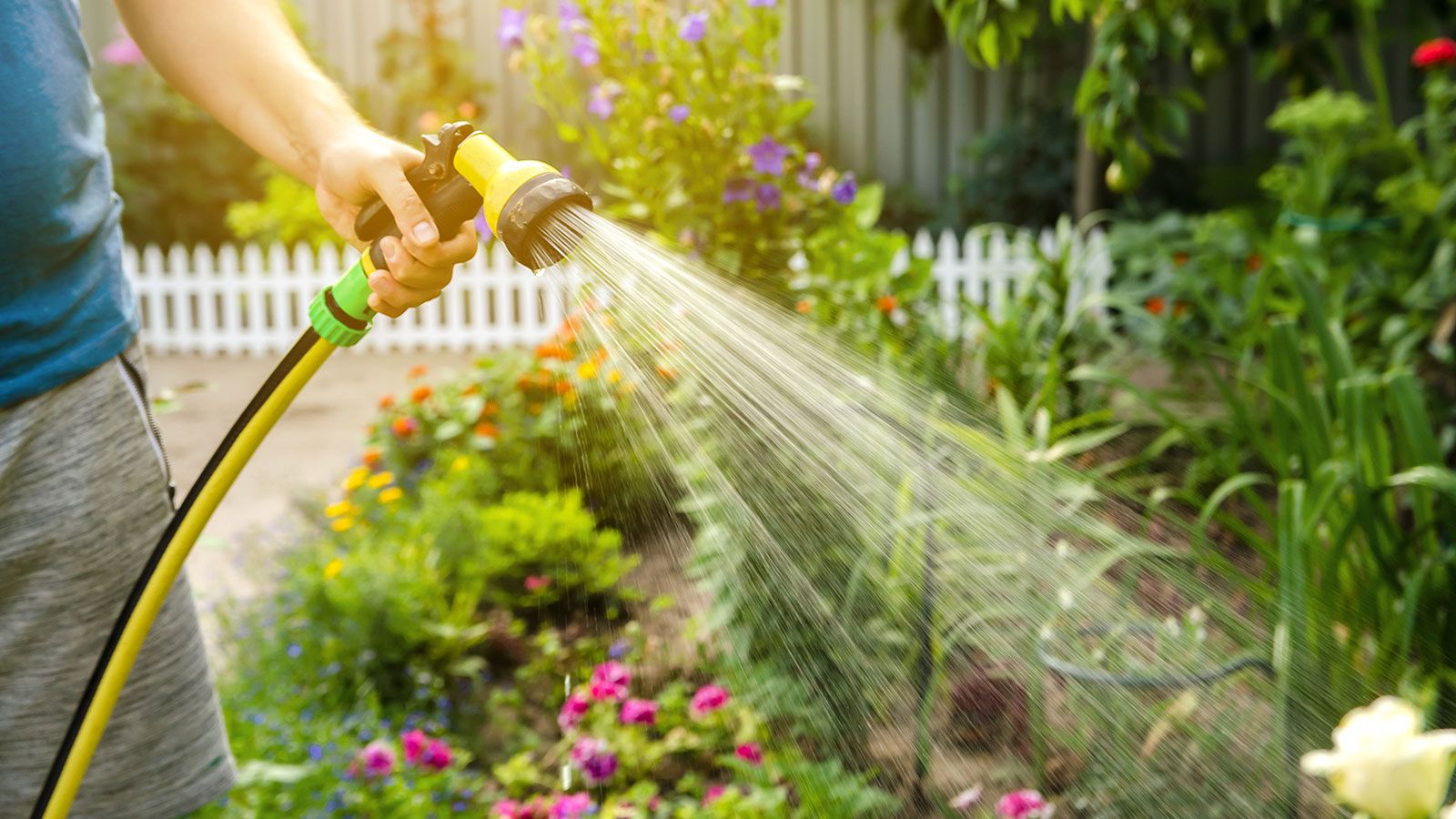 Garden watersaving tips 9 ways to reduce water usage