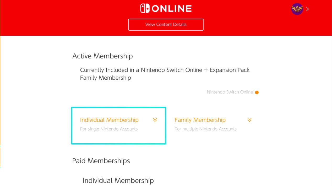 Nintendo Switch Online Individual Or Family Membership