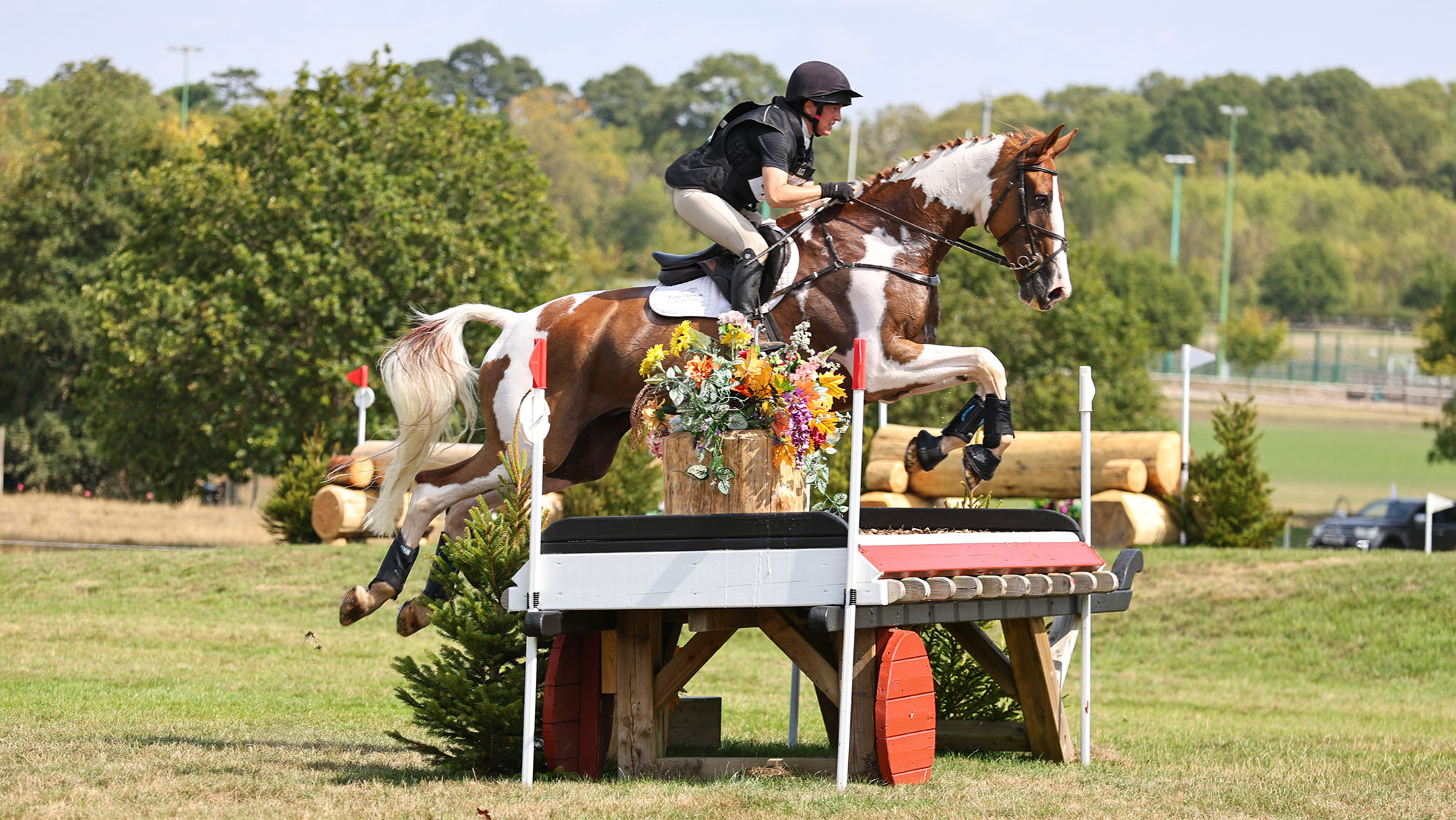 Katie Magee on Beltane's Prince Chilli