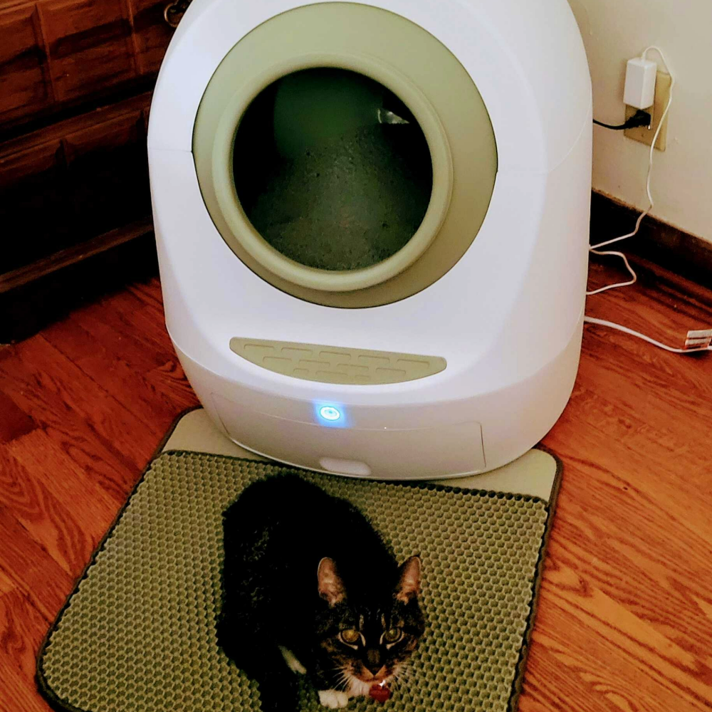 Julie's cat sitting on the anti-track mat in front of Casa Leo's Loo Too in green, one of the best automatic cat litter boxes