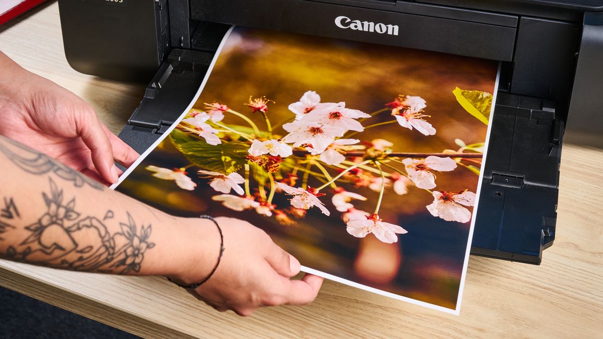 Canon PIXMA Pro 200-S printer